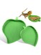 Oasisgalore 2PCS Leaf Reptile Food Water Bowl for Tortoise, Dish Flat Drinking Bowl Water Plate
