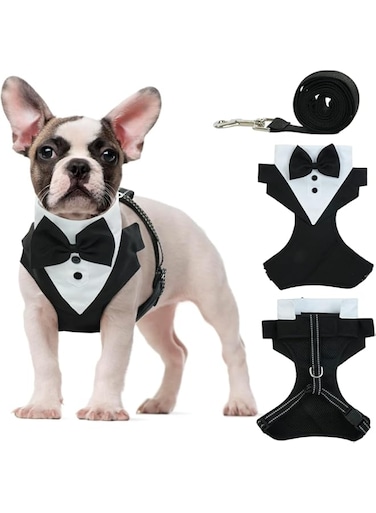 Tuxedo Dog Harness, Dog Vest with No Pull Dog Leash, Formal Puppy Harness with Bow Tie for Wedding, Breathable Mesh Dog Tuxedo Vest Harness, Pet Harness for Small Medium Dogs, Birthday Walking (L)