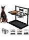 Fitmos Elevated Dog Bowls with Slow Feeder, Raised Dog Bowl for Large Dogs Adjusable Height with 2 Stainless Steel Dog Food Bowls Spill Proof Mat, Dog Bowls for Large Medium Dogs.(Black)