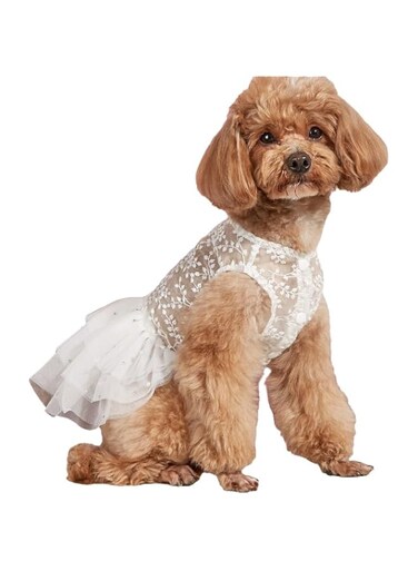 Dogs Wedding Dresses Flower Tutu Skirt with Detachable Train for Small Medium Dog Pet Outfit Formal Apparel Princess Clothes for Birthday Party Costume (White, M)