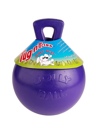 Jolly Pets Tug-n-Toss Heavy Duty Dog Toy Ball with Handle, 6 Inches/Medium, Purple