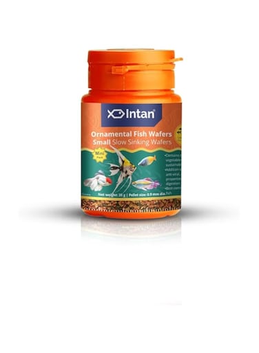 Growel Intan Ornamental Fish Wafers (Small 0.9mm Slow Sinking)   35gm - Highly Nutritious Ornamental Fish Food for Angels, Gouramis, Goldfish, Barbs &amp; Rainbows