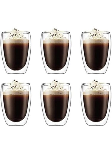 BEST-COUNTER 6 Pieces Double Wall Glasses Coffee Cup(Large)
