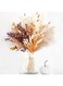 Wisfunlly Pampas Grass,Dried 64pcs Pampas Grass Decor Pampas Grass Contains Bunny Tails Dried Flowers Fall Decor Autumn Decorations for Wedding Boho Flowers Home Table Decor