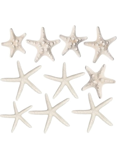 THE WHITE SHOP Starfish Decor - 10 12Pack Assorted Star Fish - Starfish for Crafts - White Starfish Wall D&eacute;cor - Beach Wedding Starfish - Star Fish Decorations - Shells for Decoration (10)