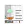 Rain Cloud Humidifier with Raindrop Sound and Night Light, Aromatherapy Diffuser, Mushroom Wa