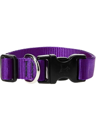 Lupine Dog Collar 12-20, Purple, 1 Inch