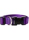 Lupine Dog Collar 12-20, Purple, 1 Inch
