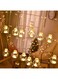 Sulfar Diwali Lights Decorations for Home with 8 Flashing Modes, Remote Control, USB and Battery Box Powered, Wish Ball Curtain Lights for Christmas Wedding Party Bedroom Home D&eacute;cor