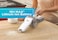 Black &amp; Decker 18V Cordless Handheld Pivot Vacuum Cleaner With 1.5Ah Li-Ion Battery, 27.5 AW Suction Power, 440ml