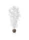 biOrb Sea Fan, Medium, White