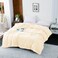 STARGOLD Double Ply Blanket 160X220cm, 3kg  100% Polyester Suitable Winter And Rainy Season