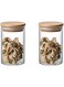 Glass Storage Jars Set, High Borosilicate Glass Food Canister with Airtight Bamboo Lid, Kitchen Sealed Containers for Cereals, Beans, Candy, Seasoning, Dried Fruit (250ML, 2Pcs)