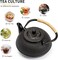 Japanese Cast Iron Teapot Tea Kettle pot with Stainless Steel Infuser for Stovetop Safe Coated with Enameled Interior 600 ML