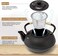 Japanese Cast Iron Teapot Tea Kettle pot with Stainless Steel Infuser for Stovetop Safe Coated with Enameled Interior 600 ML