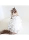 Dog Wedding Dress for Cat,Cute Starry Sky Pet Summer Clothes Vest Tutu Skirt, Christmas Dress Costume for Small Dog Pet Apparel (White, Medium)