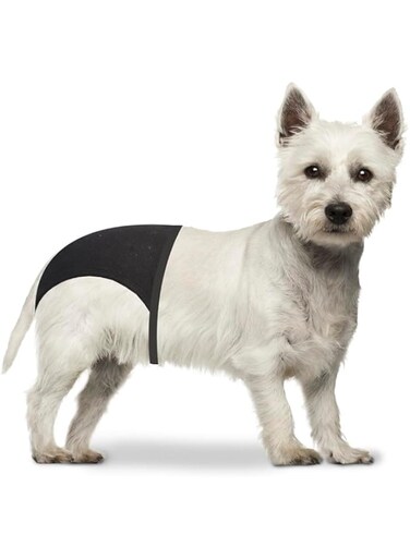 Duvo+ Stretch Dog Pant, 24-31 cm Size