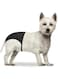 Duvo+ Stretch Dog Pant, 24-31 cm Size