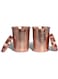 GreenTree&reg; Pure Copper Glass With Lid (Set Of 2), Ayurveda Health Benefits