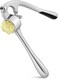 Stainless Steel Garlic Press &acirc;&euro;&ldquo; Ergonomic Garlic Crusher &amp; Mincer Tool   Easy-Squeeze Garlic Presser with Soft-Grip Handle, Rust-Resistant &amp; Dishwasher Safe, Pack of 1