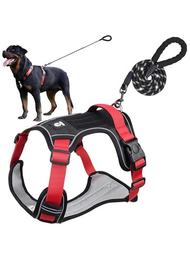 URbazaar Dog Harness,eflective and Breathable Pet Harness, Adjustable Comfortable Soft Padded Vest Harness Easy Control,No-Choke Pet Harness with Metal Rings (M)