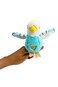 Happy Yappers S2 Parrott Turquoise 9404