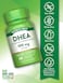 نيتشرز تروث DHEA 50 ملغ، 60 كبسولة