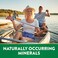 Nature's Truth Irish Sea Moss Complex, 90 Capsules, 2,250mg, With Bladderwrack &amp; Burdock Root, Non-Gmo &amp; Gluten Free Supplement, Complex Formula With Bladderwrack &amp; Burdock Root