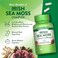 Nature's Truth Irish Sea Moss Complex, 90 Capsules, 2,250mg, With Bladderwrack &amp; Burdock Root, Non-Gmo &amp; Gluten Free Supplement, Complex Formula With Bladderwrack &amp; Burdock Root
