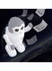 Robert Dancing Robot Speaker Program