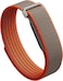 Google Fitbit Air Special Edition Stephen Curry - Screenless Activity Tracker with Fitness, Heart Rate, and Sleep Tracking - Personalized AI-Powered Coaching - Works with iOS and Android - Rye (International Version)