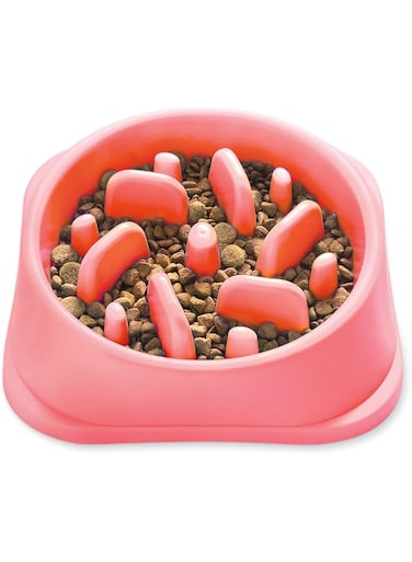 NOYAL Dog Slow Feeder Bowl, Non Slip Puzzle Bowl - Anti-Gulping Pet Slower Food Feeding Dishes - Interactive Bloat Stop Dog Bowls - Durable Preventing Choking Healthy Design Dogs Bowl