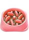 NOYAL Dog Slow Feeder Bowl, Non Slip Puzzle Bowl - Anti-Gulping Pet Slower Food Feeding Dishes - Interactive Bloat Stop Dog Bowls - Durable Preventing Choking Healthy Design Dogs Bowl