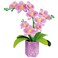 Educa - Orchid Flower Art, Paper Orchid Craft Kit - No Glue Or Scissors Required. A Gift Set, Crafts For Decoration. +6 Years (20135)