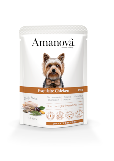 Amanova Wet Adult Dog Exquisite Chicken - 100g