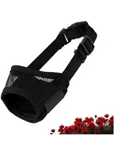 Duomama Breathable Air Mesh Dog Muzzle for Training &amp; Control - Anti-Bite &amp; Chew - Adjustable Loop - Ideal for Medium to Large Breeds - Ensures Safety &amp; Comfort (Black, M)