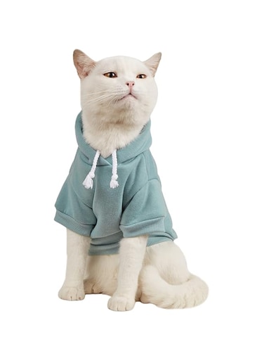 QWINEE Basic Dog Hoodie, Dog Warm Jacket, Cat Apparel, Dog Shirt, Dog Clothes for Puppy Kitten Small Medium Dogs Cats Cadet Blue XS