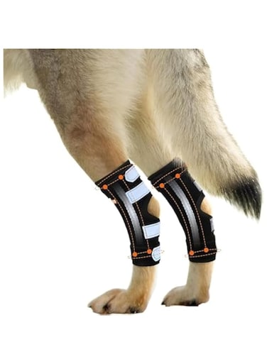 Dog Brace Metal Spring Inserts - Rear Leg, Black (Medium)
