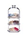 Fitto 3-tier Glass Stackable Jar - Clear Apothecary Jars with Lid - Storage Container for Food, Candy, Biscuit, Cookie, Kitchen and Bathroom Organizer, Glass Pantry Jars