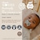 Suavinex Pack Of 2 Soothers With Physiological Silicone Teat SX Pro, Symmetrical, Flat And Flexible Teat, For Babies 0/6 Months And Newborns, Respects Oral Development, Wonderland Pink