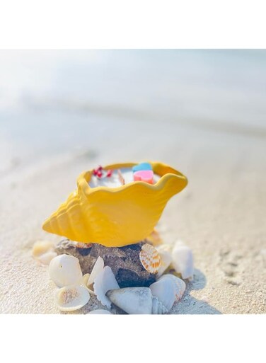 Gorgeous Tantrums Sea Shell Scented Good Luck Candle, Crackling Sound from Sea Shell/Conch Shell when you light, Bubbles on the Shell (1.7 OZ burns up to 8 Hrs) (Bergamot)