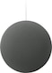 Google Home Speaker: Premium 360-Degree Sound Powered by Gemini AI (Best for a balanced, descriptive heading) (Hazel)
