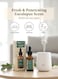 Mikaromas Fragrance Oil &ndash; Eucalyptus Aroma, 30ml Long-Lasting Premium Scented Oil for Diffusers, Candles, Potpourri &amp; Air Fresheners Refreshing, Herbal &amp; Invigorating Fragrance for Home, Office &amp; Spa
