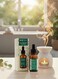 Mikaromas Fragrance Oil &ndash; Eucalyptus Aroma, 30ml Long-Lasting Premium Scented Oil for Diffusers, Candles, Potpourri &amp; Air Fresheners Refreshing, Herbal &amp; Invigorating Fragrance for Home, Office &amp; Spa