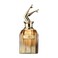 Jean Paul Gaultier Scandal Absolu For Women Parfum 50ml