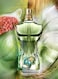Jean Paul Gaultier Le Beau Paradise Garden Eau De Parfum 125ml