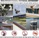 Stainless Steel Bird Spikes for Pigeons and Other Small Birds - No Plastic - Anti Bird Repellent Spikes Control Kit Un-Assembled Spikes 100 Centimetre (Pack of 5)