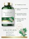 Valerian Root Capsules 2400mg   240 Pills   Highest Potency Per Capsule   Non-GMO, Gluten Free   Herb Extract Supplement   by Carlyle