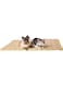 DELIFUR Dog Self Cooling Mat Pet Summer Cooling Pad Ice Silk Sleep Mat for Dogs Cats and Adults (Large:37 x 26.4 inches, Yellow)