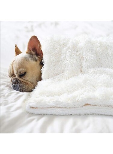 BENRON Medium Dog Blanket for Couch Bed Crate, Cozy Reversible Fleece Dog Blanket, Washable Fluffy Throw Blankets 30x40 Inches Cream White